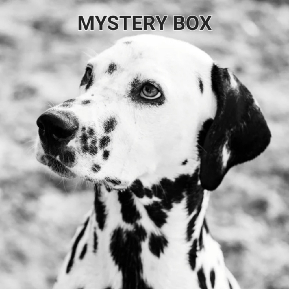 Mystery Box - Black and White